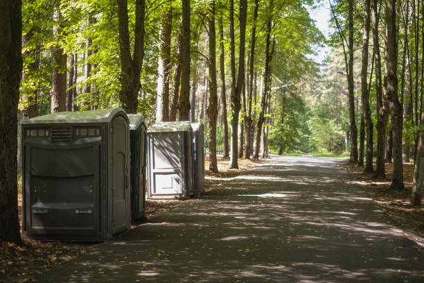 Best High-end porta potty rental  in Lake Sconsin, WI